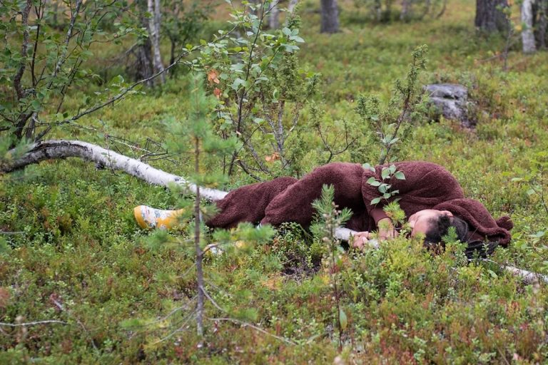 Campeonatos Mundiales de TreeHugging