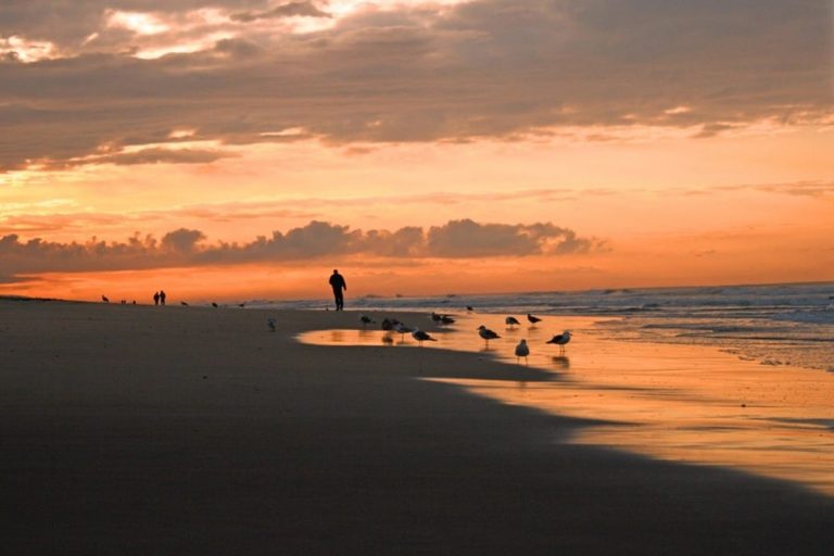 La sencillez de las cosas