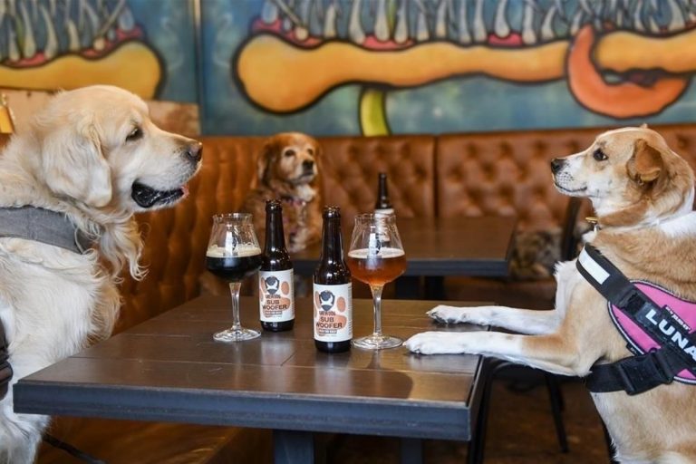 Ronda para tres, perro incluido