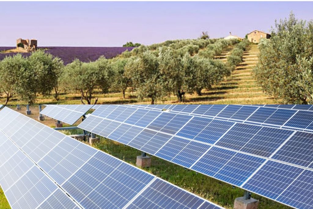 Expropiación de zonas de cultivo para la construcción de parques solares: La "imposición verde" desde Bruselas que nadie ha votado