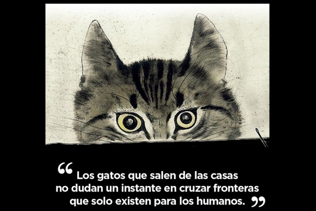 Lecturas que remueven el alma
